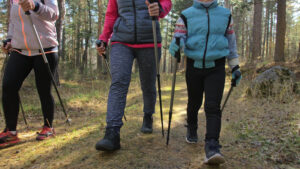 nordic-walking-nature-trekking-sticks-nordic-poles